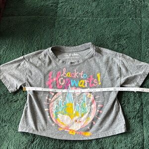Harry Potter Wizarding World Warner Bros. Gray Kids Cropped T-Shirt